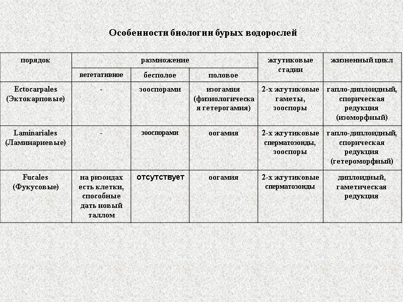 Особенности биологии бурых водорослей